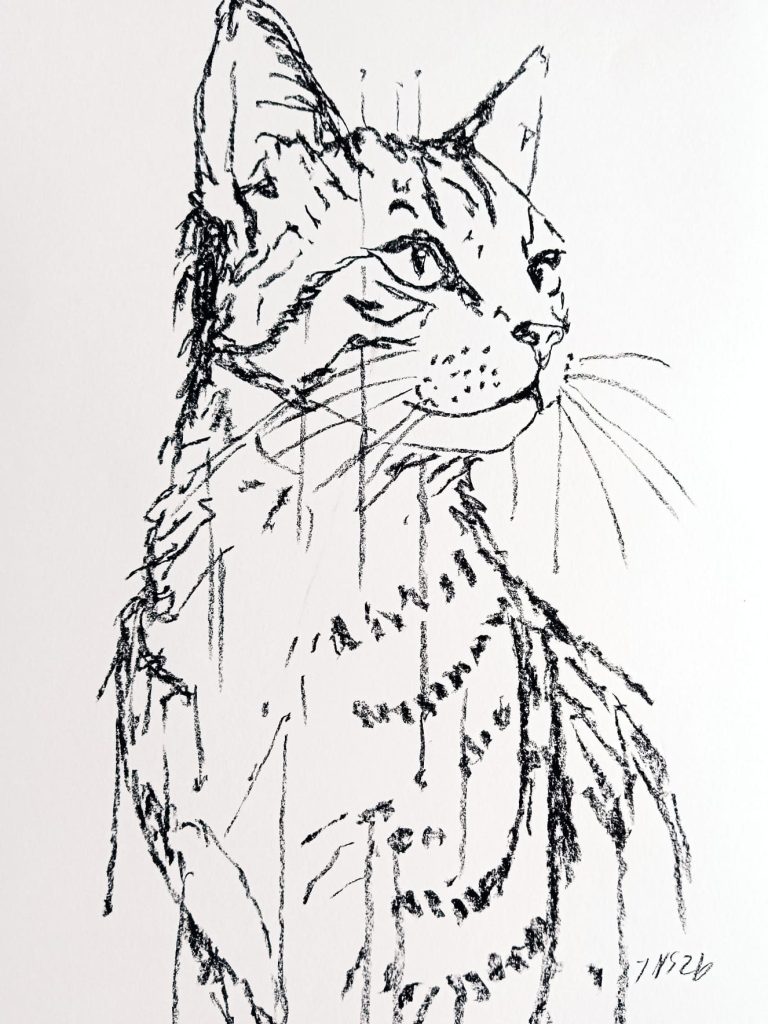Auftragsbild Haustier Porträt einer weißen Katze mit großen, gelben Augen und blauen Farbspritzern.
