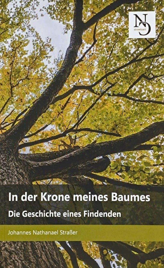 Bunte gasse mit roten und gelben Gebäuden, Bäumen und strahlend blauem Himmel.