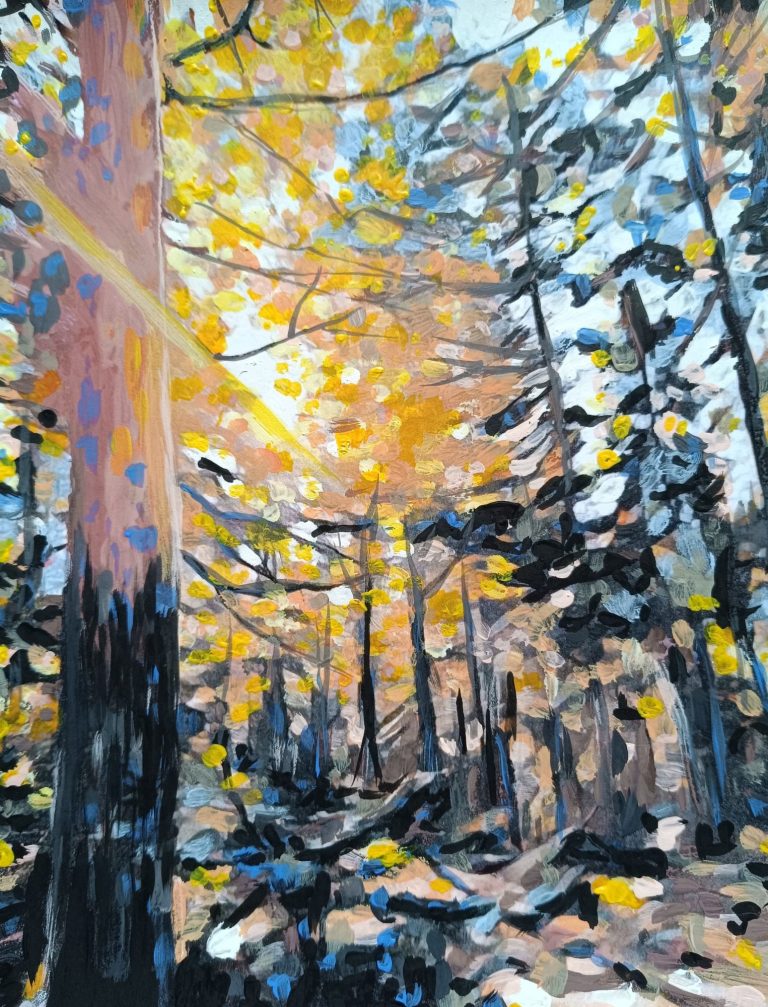 Auftragsbild Landschaft Sonnenstrahlen fallen durch bunte Herbstbäume in einem Wald.